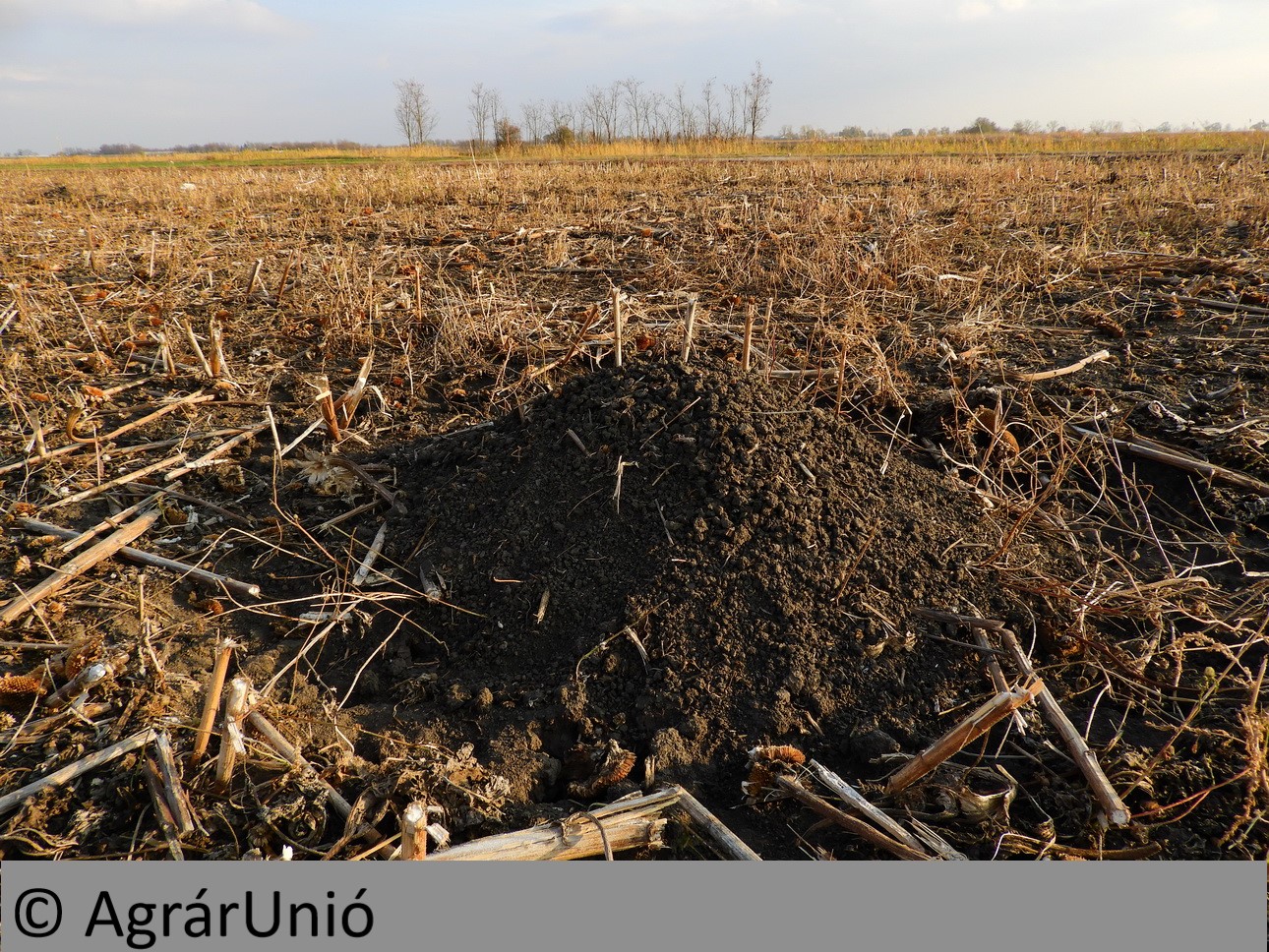 NapiKép 2018.11.24.