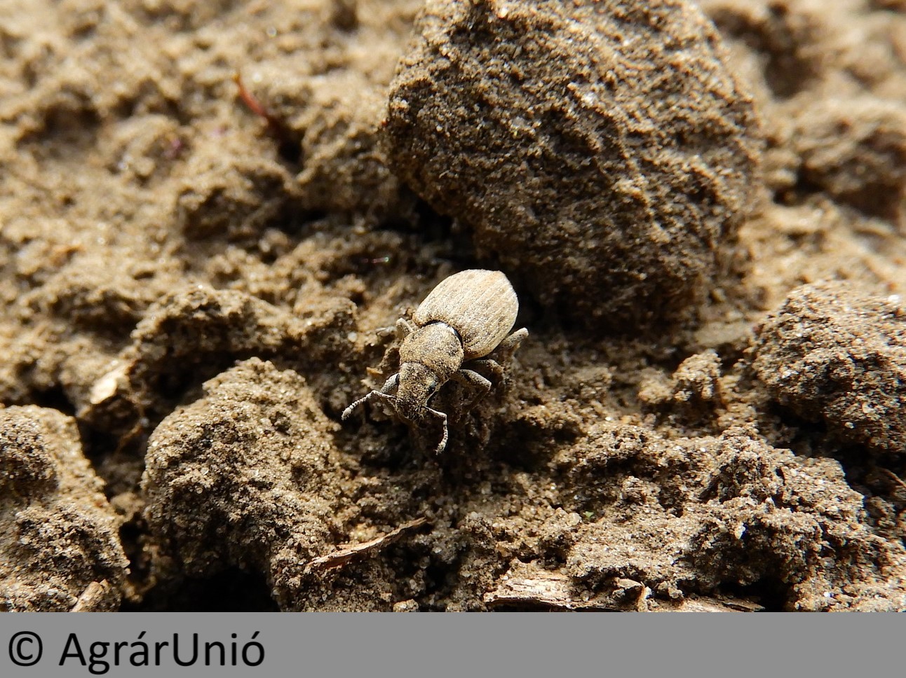 NapiKép 2019.04.14.