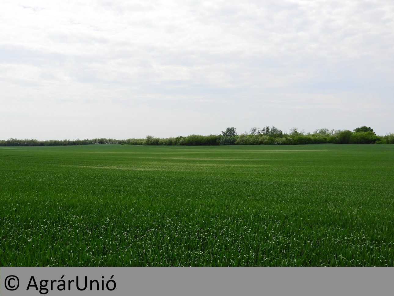 NapiKép 2019.05.15.