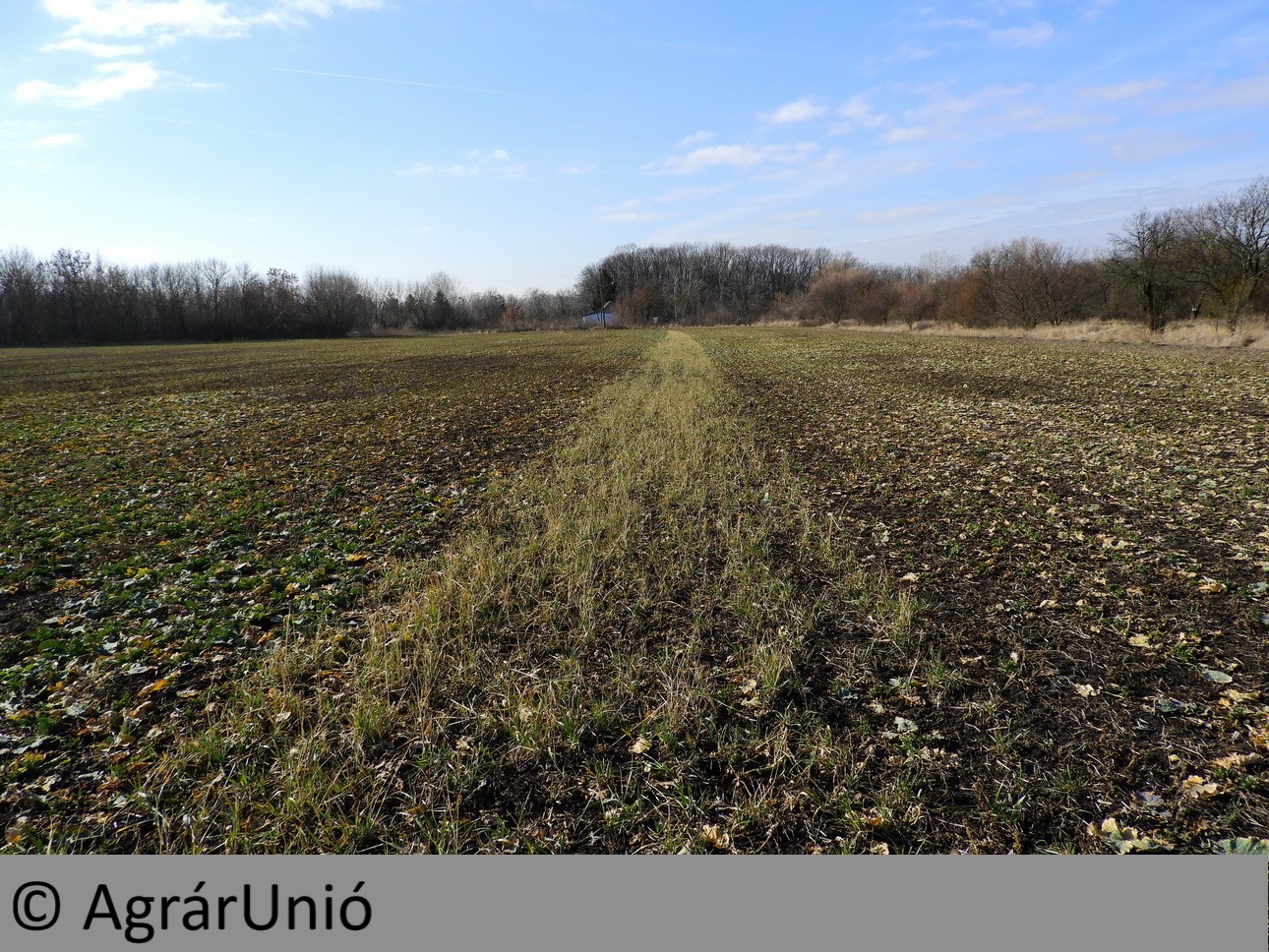 NapiKép 2019.03.03.