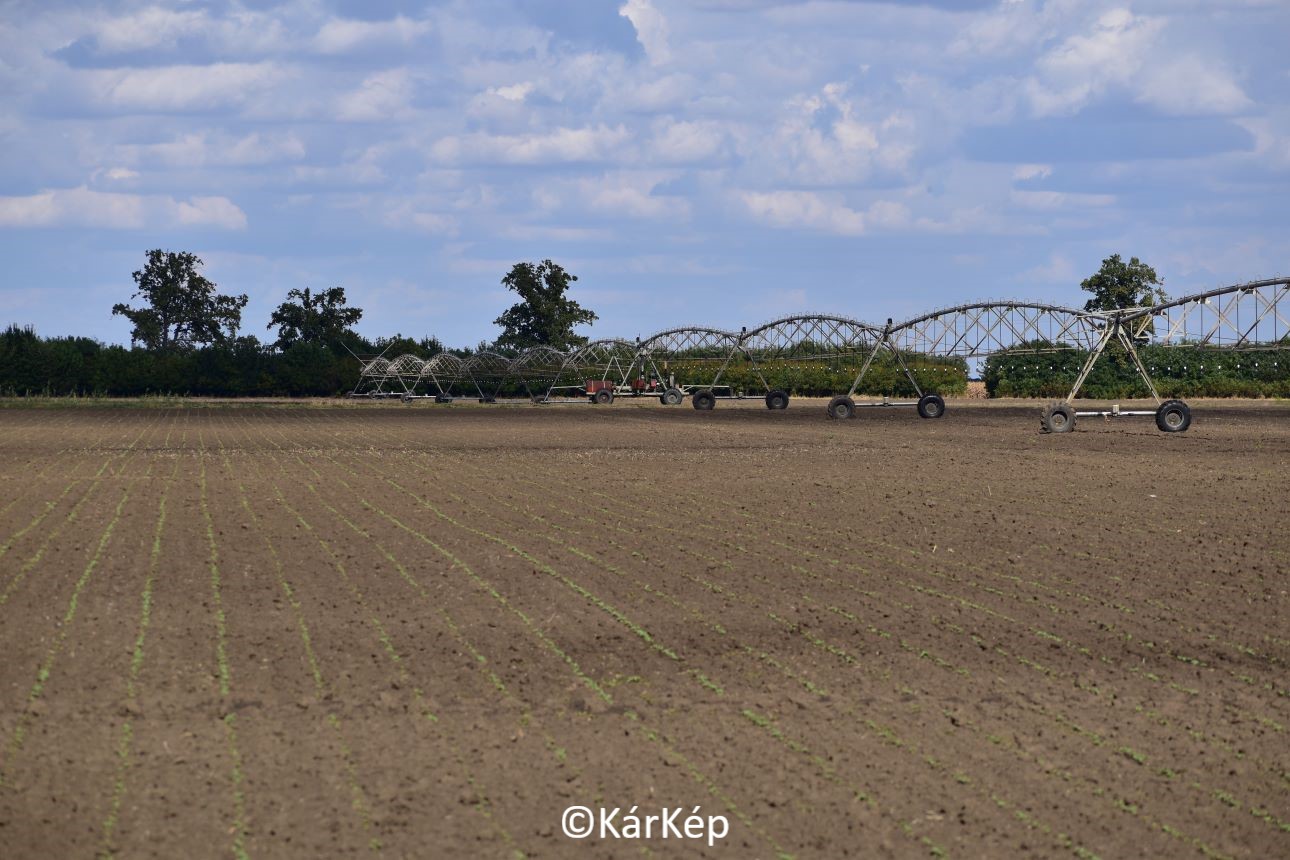 NapiKép 2020.09.28.