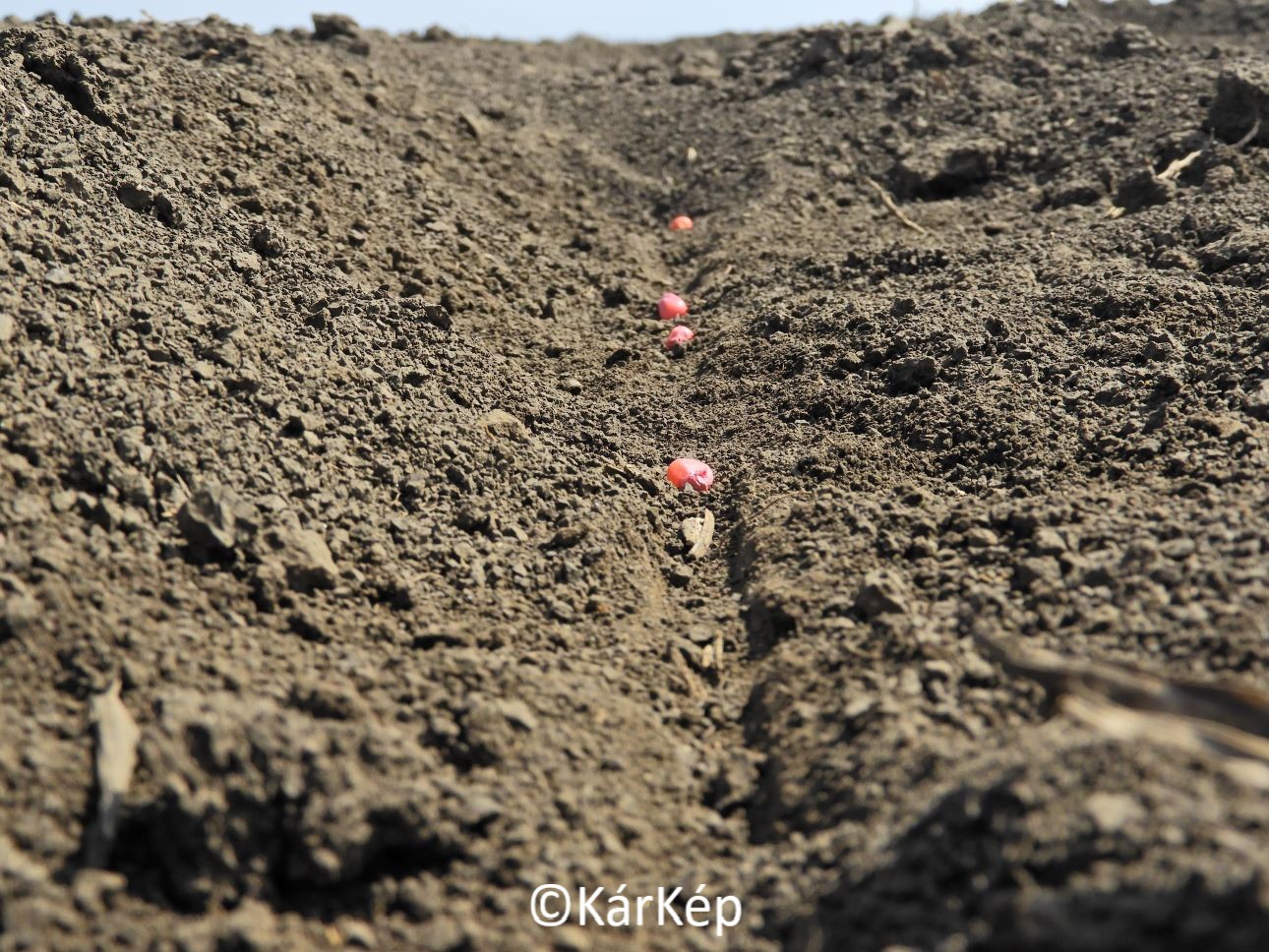 NapiKép 2021.04.13.