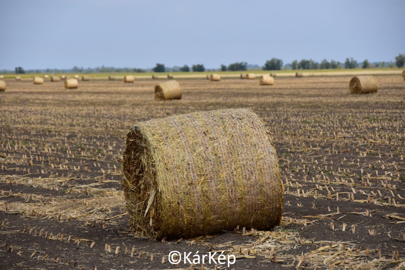 NapiKép 2022.08.24.