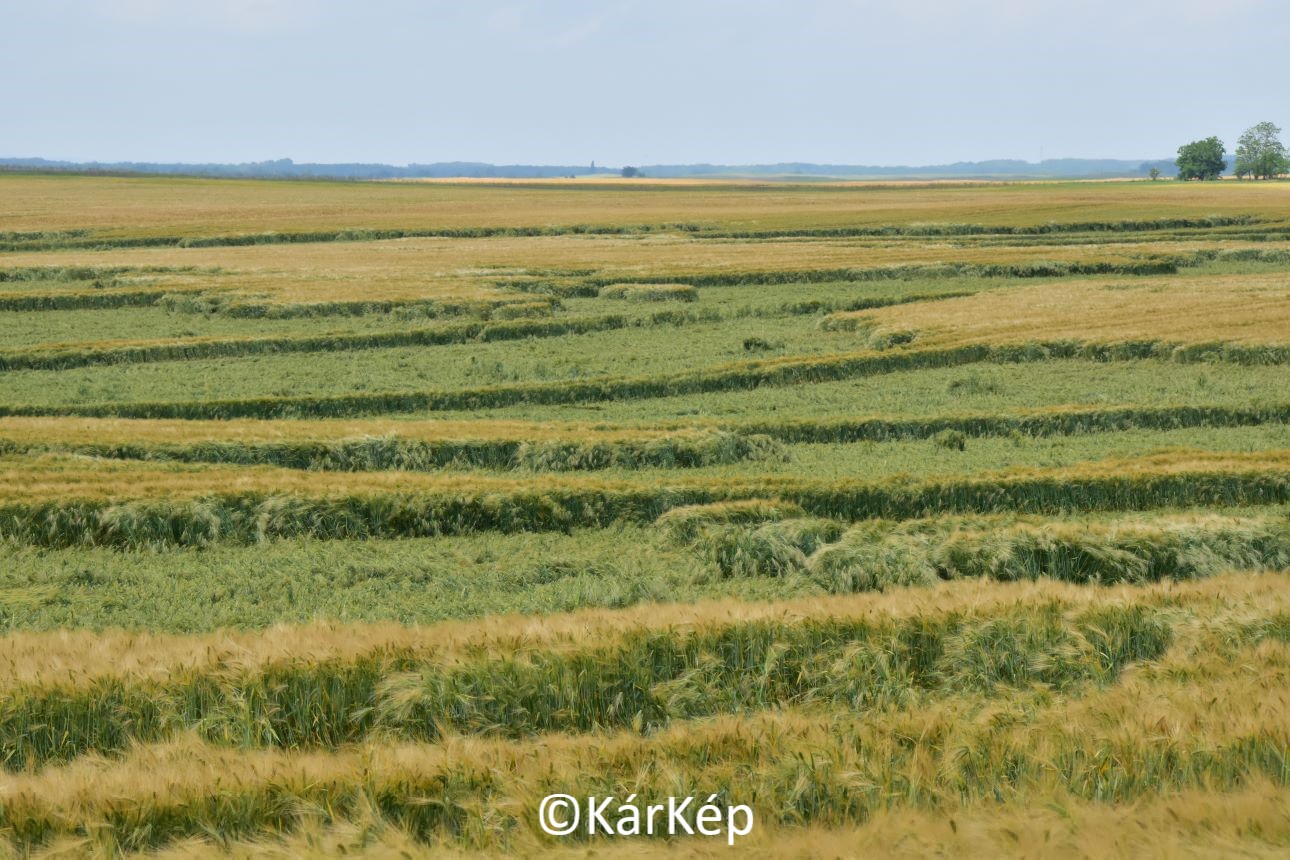 NapiKép 2022.06.04.