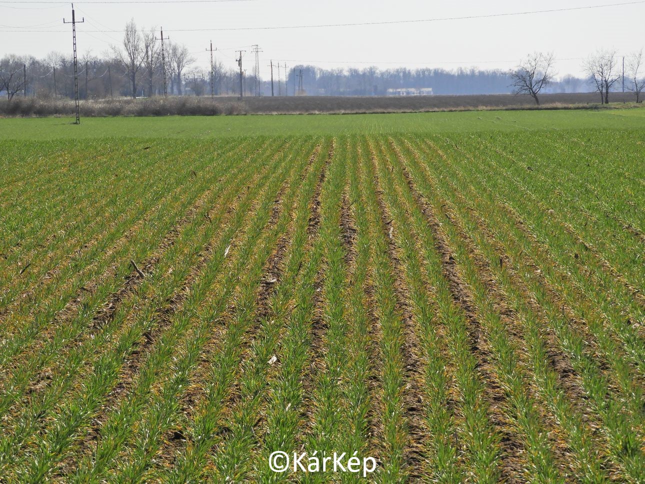 NapiKép 2022.03.28.