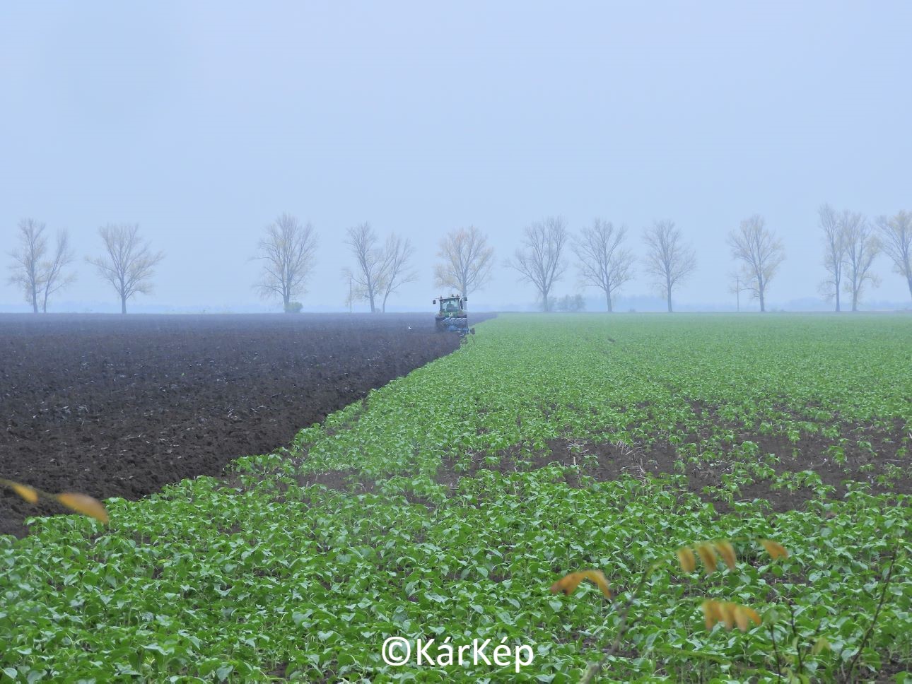 NapiKép 2022.11.18.