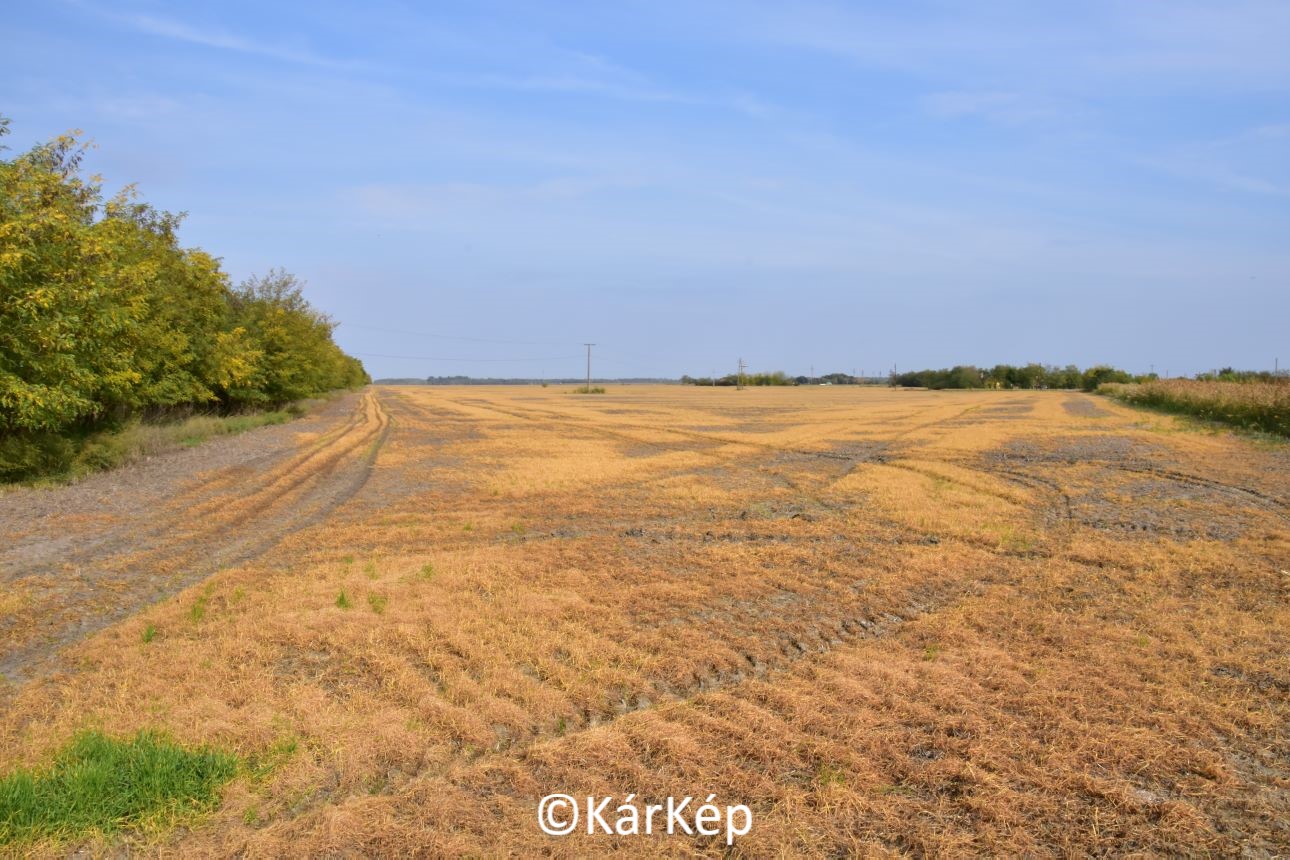NapiKép 2022.10.13.