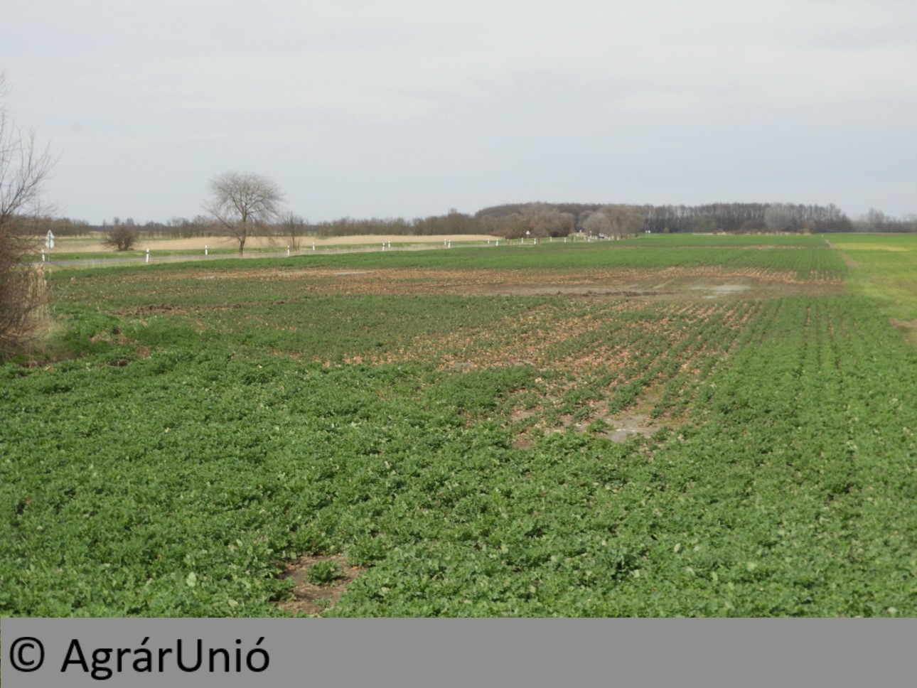 NapiKép 2018.04.04.