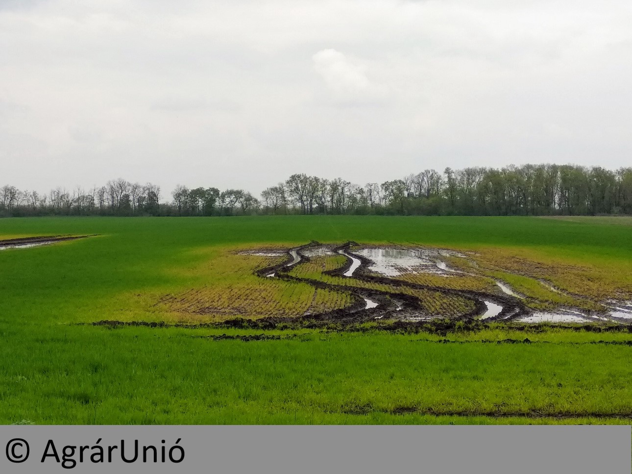 NapiKép 2018.04.30.